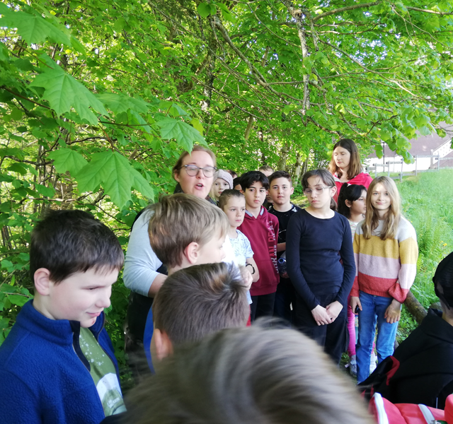 Exkursion zum SU-Thema: Pflanzen und Tiere an Gewässern