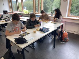 Kartoffelernte - Fürstabt-Gerbert-Schule