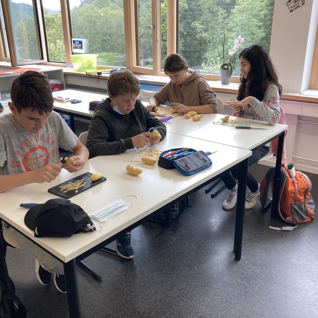 Kartoffelernte - Fürstabt-Gerbert-Schule