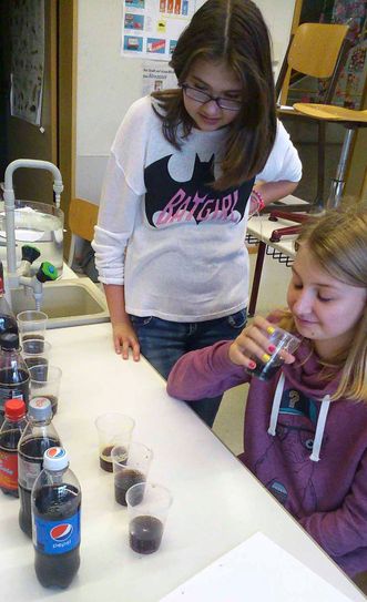 Hochrhein-Seminar an der FGS St. Blasien