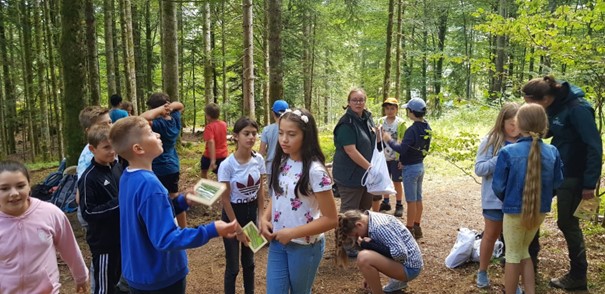 St. Blaien Projekt: Wald