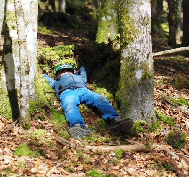 Waldtag