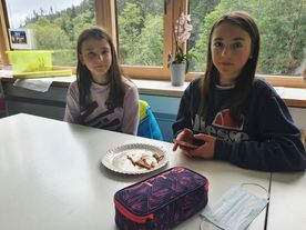 Kartoffelernte - Fürstabt-Gerbert-Schule