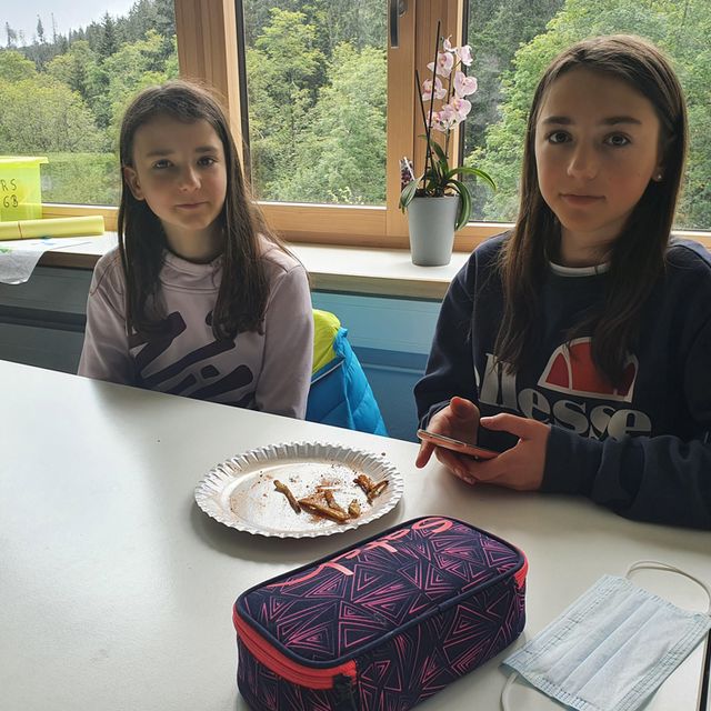 Kartoffelernte - Fürstabt-Gerbert-Schule