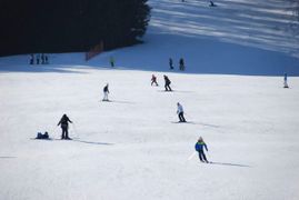 Fürstabt-Gerbert-Schule - Sportangebot