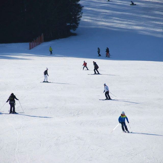 Fürstabt-Gerbert-Schule - Sportangebot