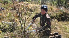 Fürstabt-Gerbert-Schule - Natura 2000