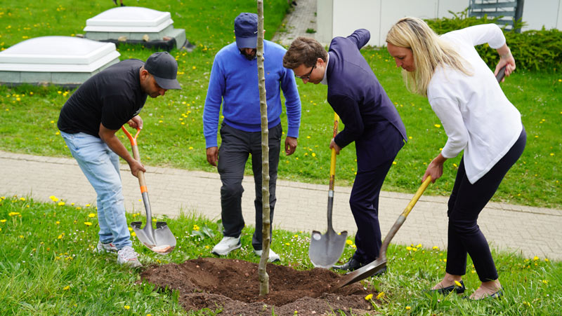 Baumpflanzaktion an der Fürstabt-Gerbert-Schule