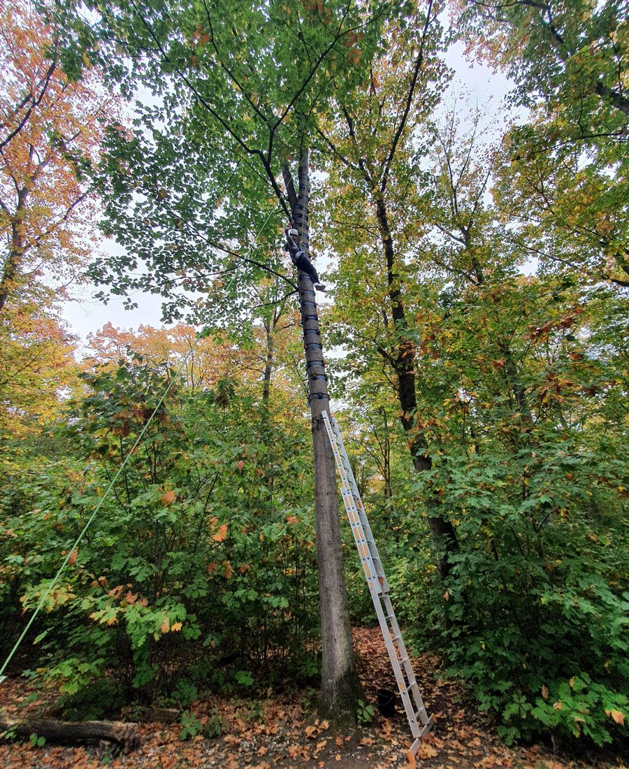 Ausflug der Klasse R7a in den Waldseilgarten
