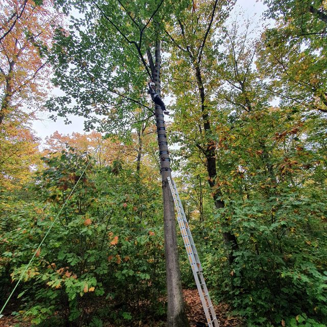  Ausflug der Klasse R7a in den Waldseilgarten