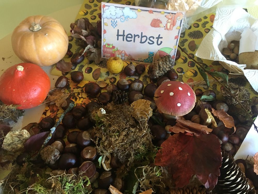 FGS St. Blasien Herbstfest