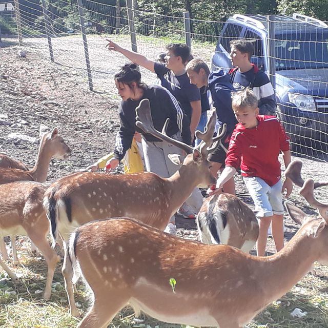 Besuch im Wildgehege St. Blasien