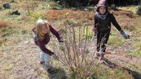 Fürstabt-Gerbert-Schule - Natura 2000