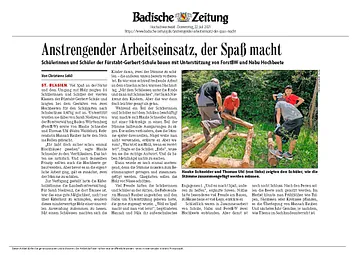 Badische Zeitung, Artikel