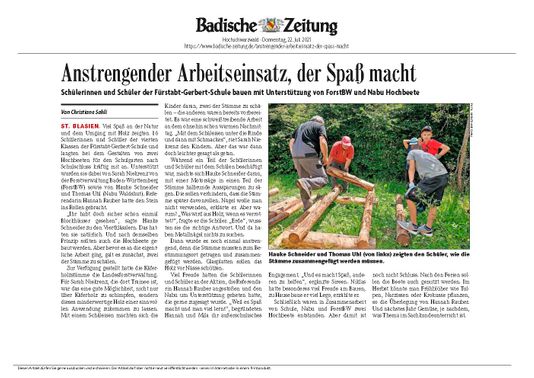 Badische Zeitung, Artikel