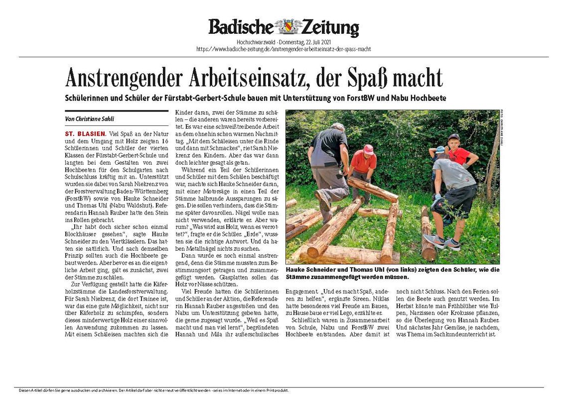 Badische Zeitung, Artikel