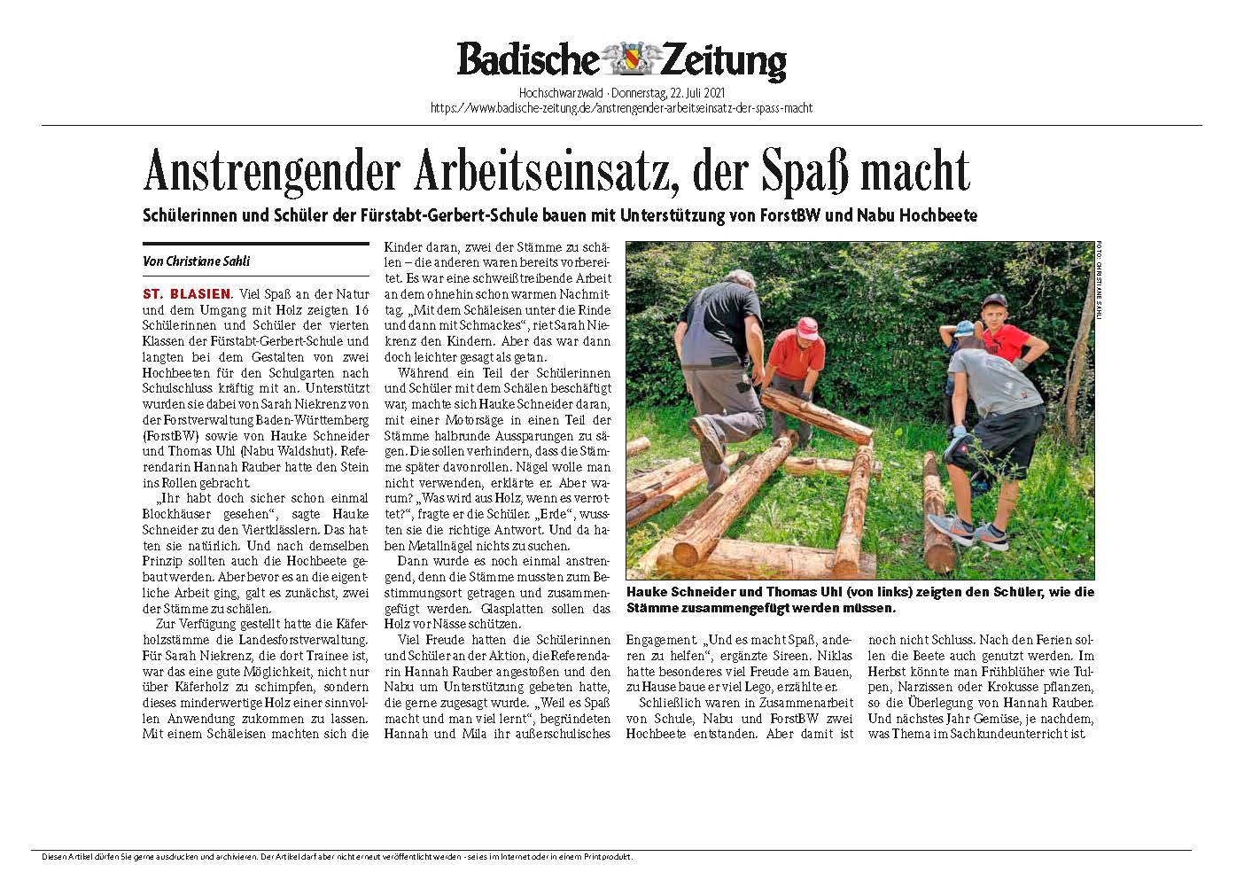 Badische Zeitung, Artikel