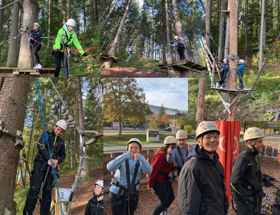 Eine abenteuerliche Kletterpartie durch die Bäume