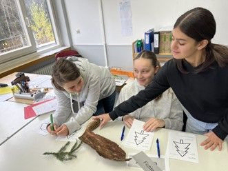 „Frau Stefan bringt den Wald ins Klassenzimmer!“- WRS 6